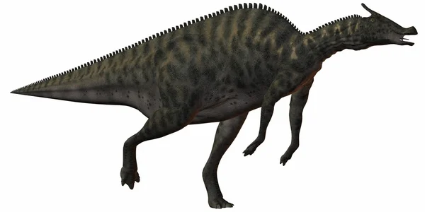 Saurolophus angustirostris-3d δεινόσαυρος — Φωτογραφία Αρχείου