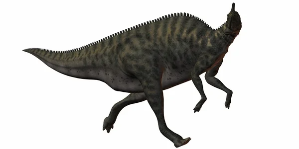 Saurolophus angustirostris-3d dinosaurus — Stock fotografie