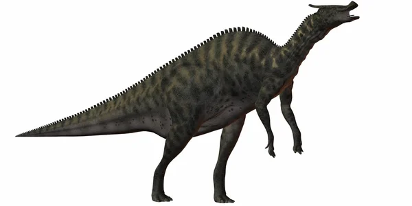 Saurolophus Angustirostris-3D Dinosaurio —  Fotos de Stock