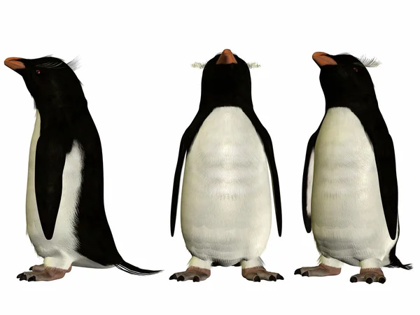 Пингвин — стоковое фото
