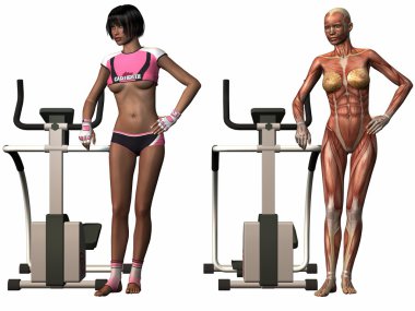 kadın insan vücudu