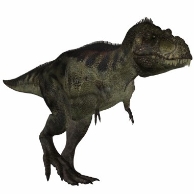 Tyrannosaurus - 3d dinazor