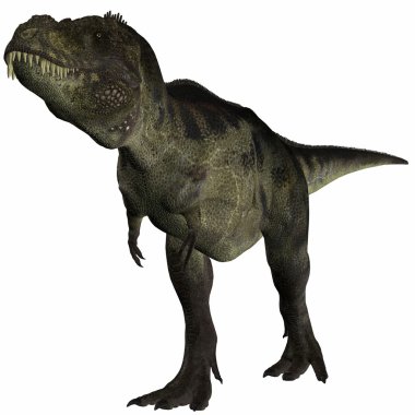 Tyrannosaurus - 3d dinazor