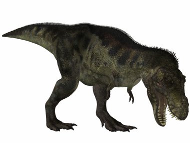 Tyrannosaurus - 3d dinazor