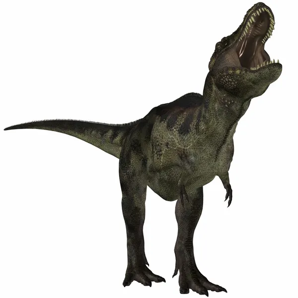 Тираннозавр - 3D динозавр — стоковое фото