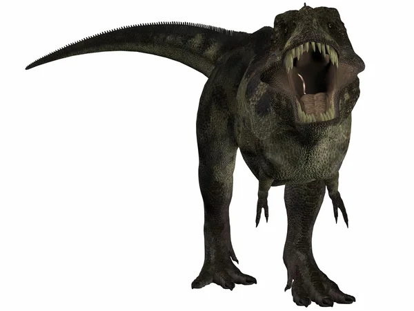 Tyrannosaurus - 3d dinosaurie — Stockfoto