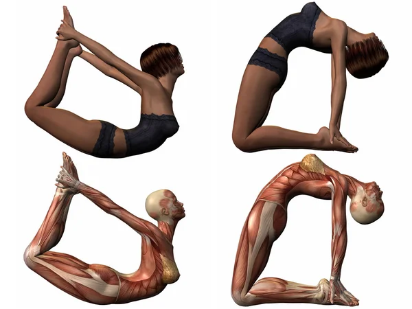 stock image Female Anatomic Body - Yoga
