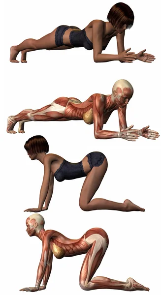 Corpo anatomico femminile - Yoga — Foto Stock