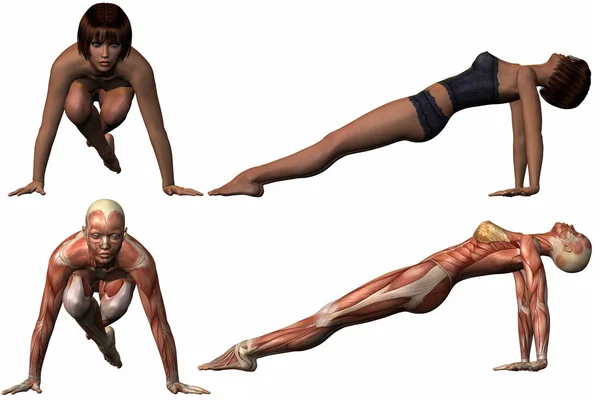 Weiblicher anatomischer Körper - Yoga — Stockfoto