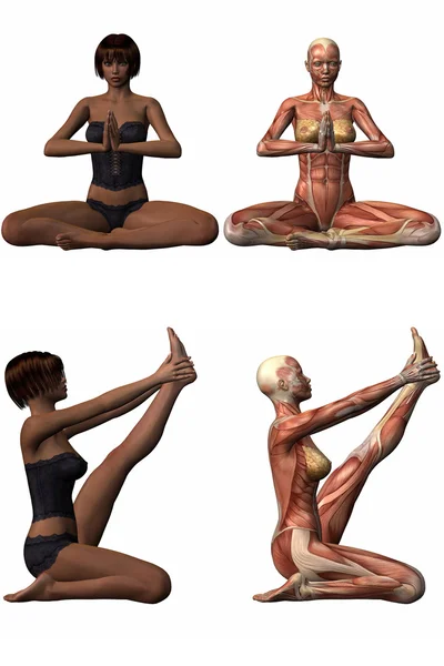 女性解剖尸体-瑜伽 — 图库照片