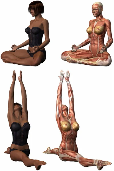 Female Anatomic Body - Yoga — Stock Photo, Image