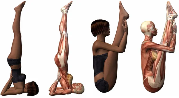 Cuerpo anatómico femenino - Yoga — Foto de Stock