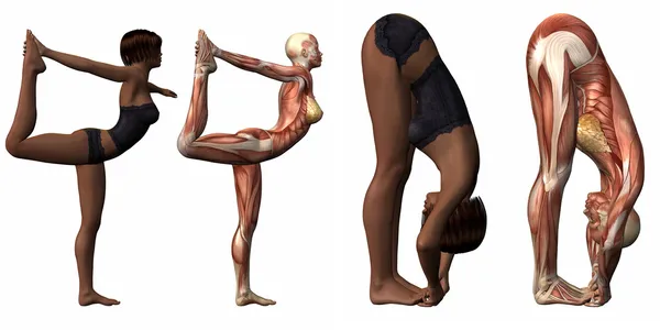 Corpo anatômico feminino - Yoga — Fotografia de Stock