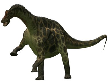 Dicraeosaurus - 3d dinazor