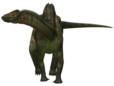 Dicraeosaurus - 3d dinazor