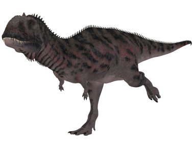 Majungasaurus Crenatissimus - 3d Dinosau