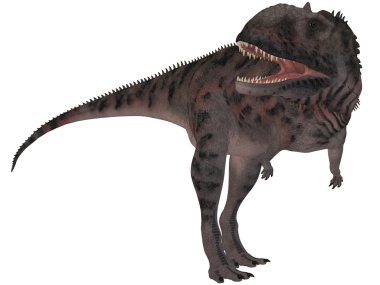 Majungasaurus Crenatissimus - 3d Dinosau