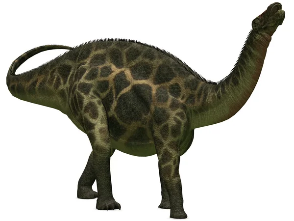 Dicraeosaurus - Dinozaur 3D — Fotografie, imagine de stoc