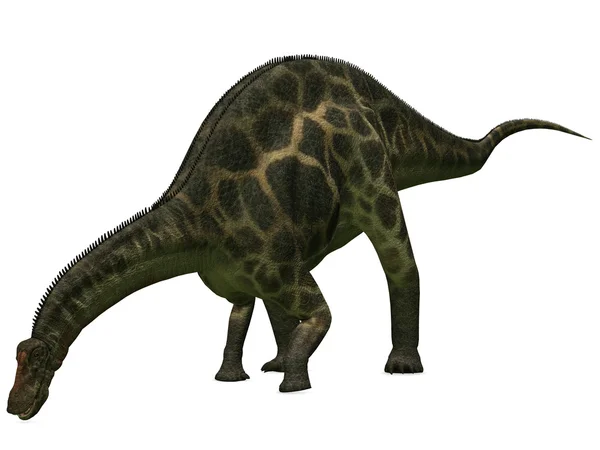 Dicraeosaurus - 3d dinosaurus — Stock fotografie