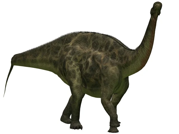 Dicraeosaurus-3d 공룡 — 스톡 사진