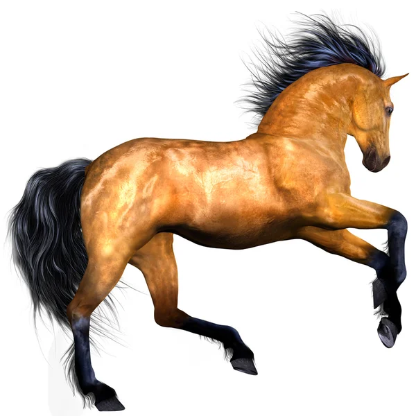 Beautiful Horse — Stock Photo, Image