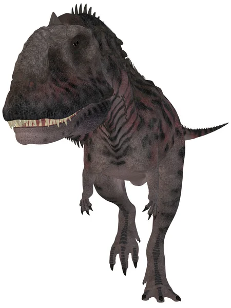 Majungasaurus crenatissimus-3d dinosau — 图库照片