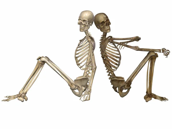 stock image 3 D Skeletons - Friends for ever