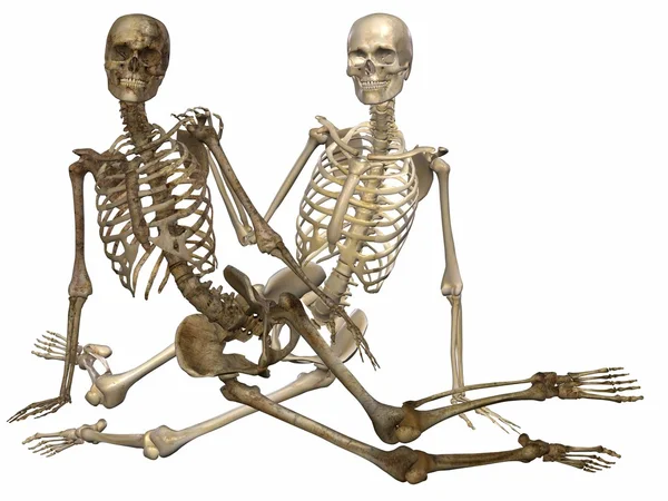 stock image 3 D Skeletons - Friends for ever