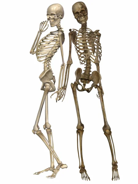 3 d szkielety - przyjaciele na zawsze — Zdjęcie stockowe