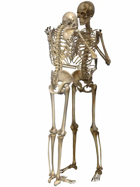 3 D Esqueletos - Amigos para siempre — Foto de Stock