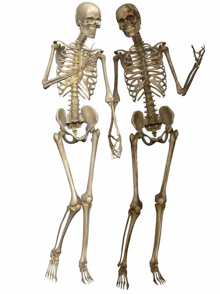 3 d σκελετοί - φίλοι για πάντα — Φωτογραφία Αρχείου