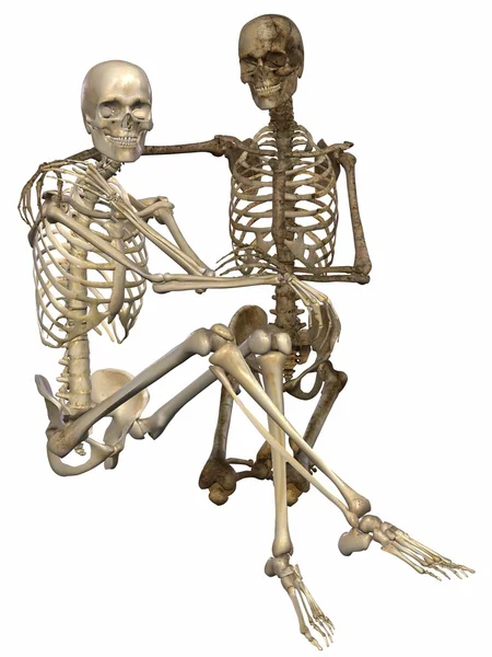 3 D Скелеты - друзья навсегда — стоковое фото