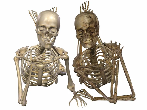 3 d 骨骼-永远的朋友 — 图库照片