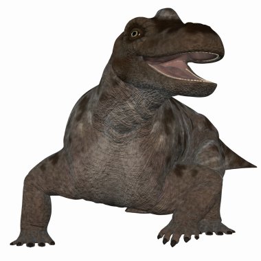 keratocephalus - 3d dinazor