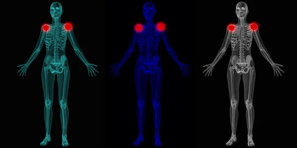 Insan anatomisi vücut — Stok fotoğraf