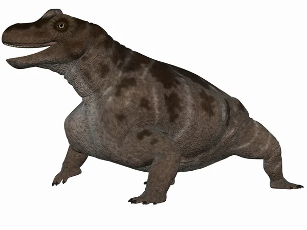 Keratocephalus - Dinossauro 3D — Fotografia de Stock