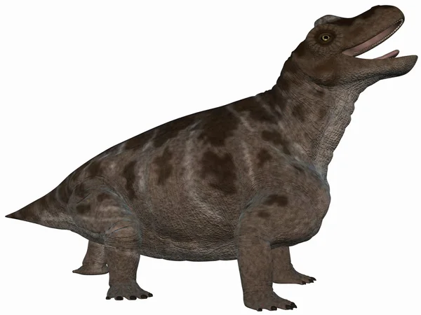Keratocephalus-3d 恐龙 — 图库照片