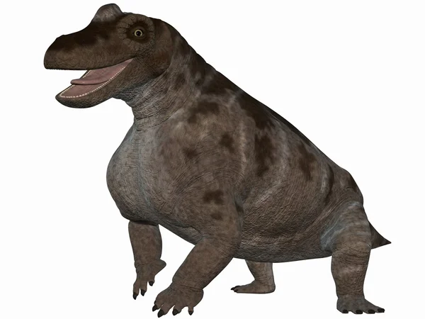 Keratocephalus-3d 恐龙 — 图库照片