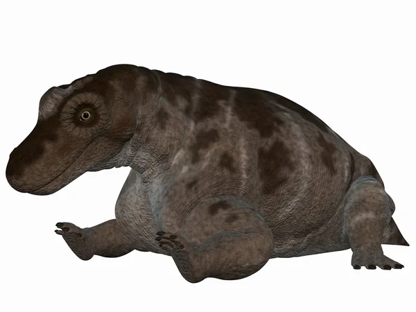Keratocephalus - Dinosaurio 3D — Foto de Stock