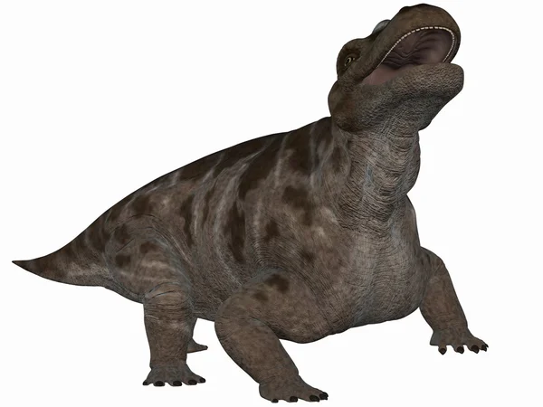 Keratocephalus - 3d dinoszaurusz — Stock Fotó