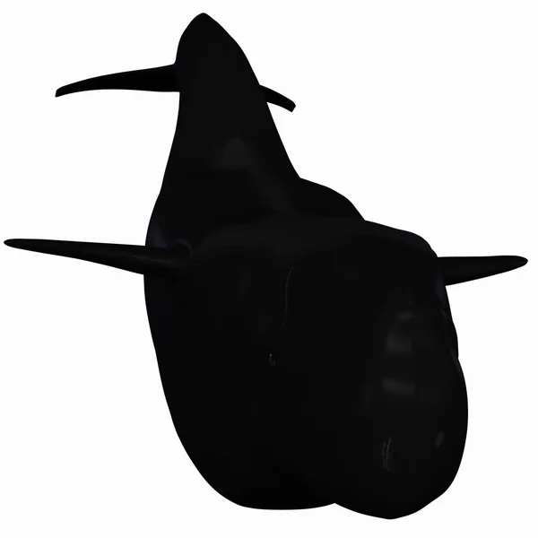 Пилотный кит — стоковое фото
