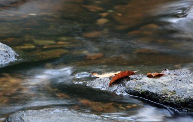 Peaceful water spring clipart