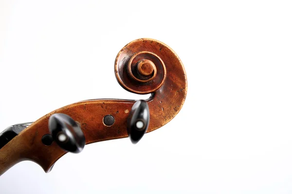 Dettagli della testa del violino — Foto Stock