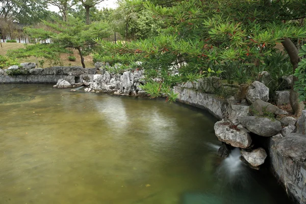 Kinesisk trädgård med pool — Stockfoto