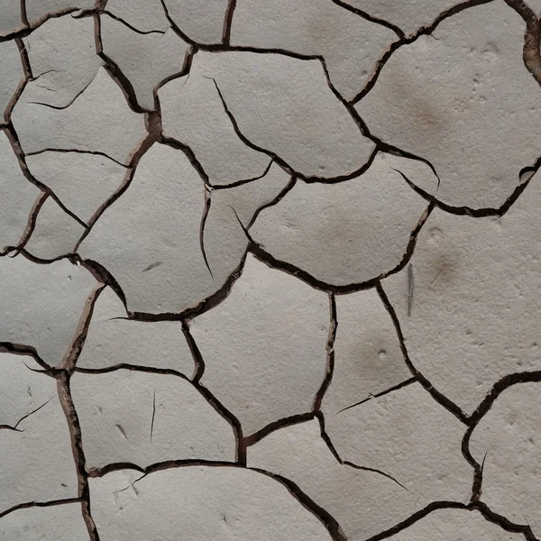 Tierra seca blanca — Foto de Stock