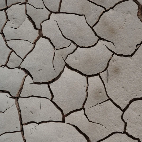 stock image White dried land