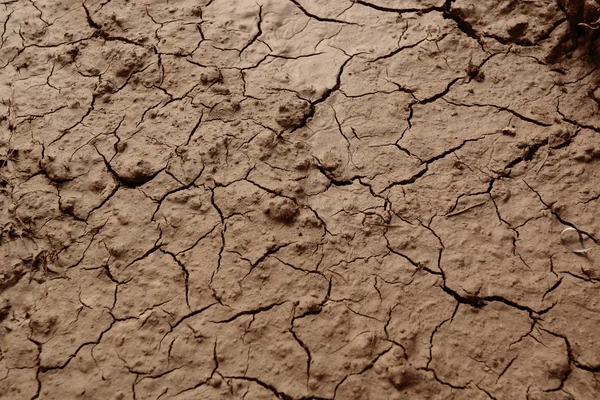 Tierras secas — Foto de Stock