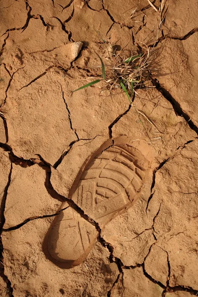 stock image A step print and braid on dried land