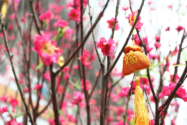 中国新的一年装饰 — — 黄色财富袋和桃花盛开 — 图库照片