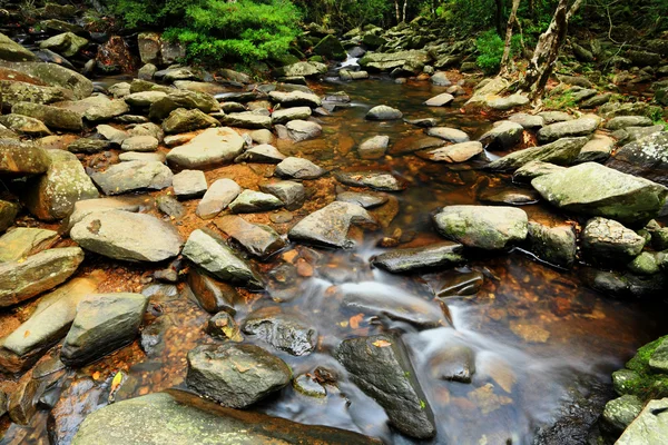Manantial de agua en bosque —  Fotos de Stock